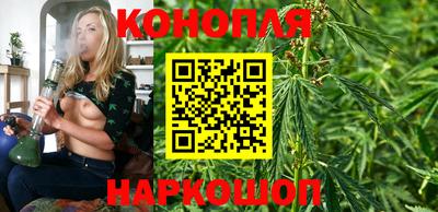 бошки Камышлов