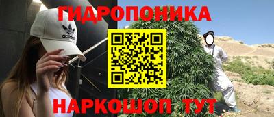 дживик Кандалакша