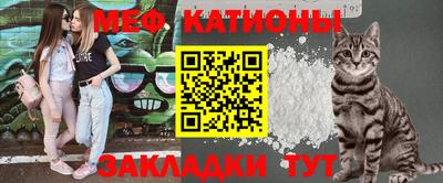 бошки Камышлов